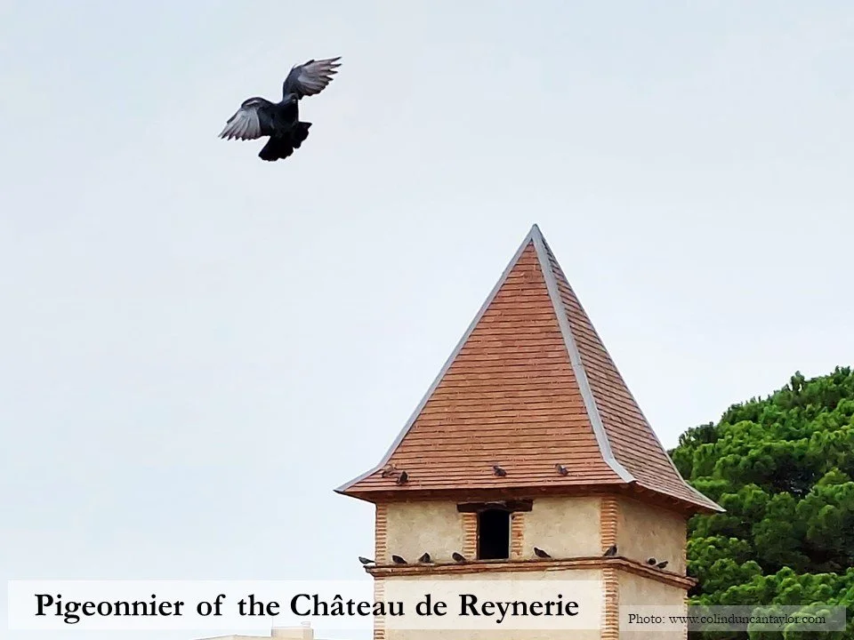 A pigeon prepares to land on the pigeonnier or dovecote of the Château de Reynerie in Toulouse.