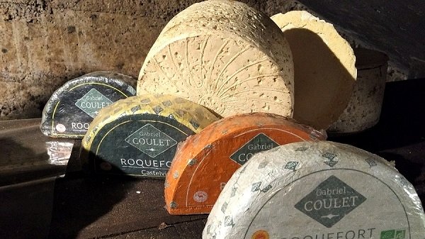 Display of Roquefort cheeses.