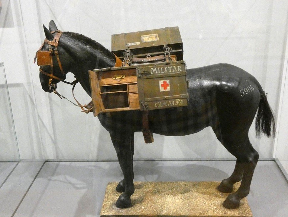 Army horse carrying medical kit.
