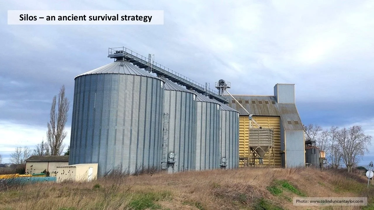 ‘GIVE US THIS DAY OUR DAILY BREAD’: HOW GRAIN SILOS IMPROVED FOOD SECURITY IN ANCIENT TIMES / The sixth line from the Lord’s Prayer asks God to provide us with the essentials that keep body and soul together. Long before those words were written, our