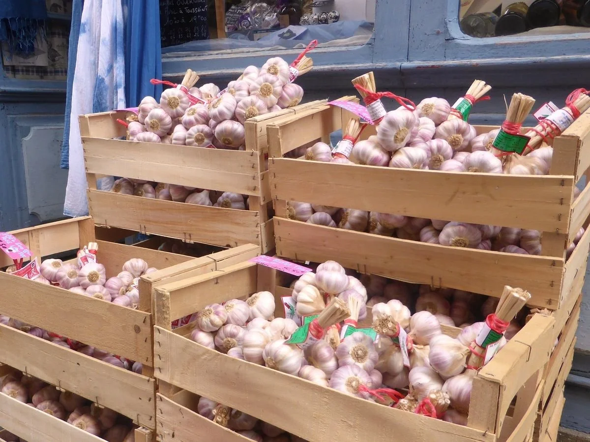 HOW DID LAUTREC GET ITS PINK GARLIC? / Exactly when pink garlic took root in Lautrec is unknown, and its miraculous appearance is, perhaps inevitably, the subject of a legend.