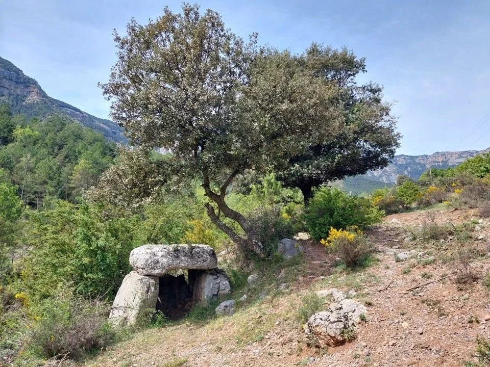 Moli de Fava, Organyà, Spain