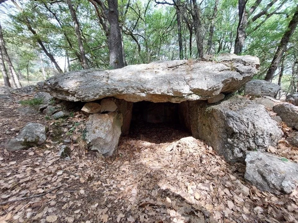 Dolmen de Colomera, Organyà, Spain