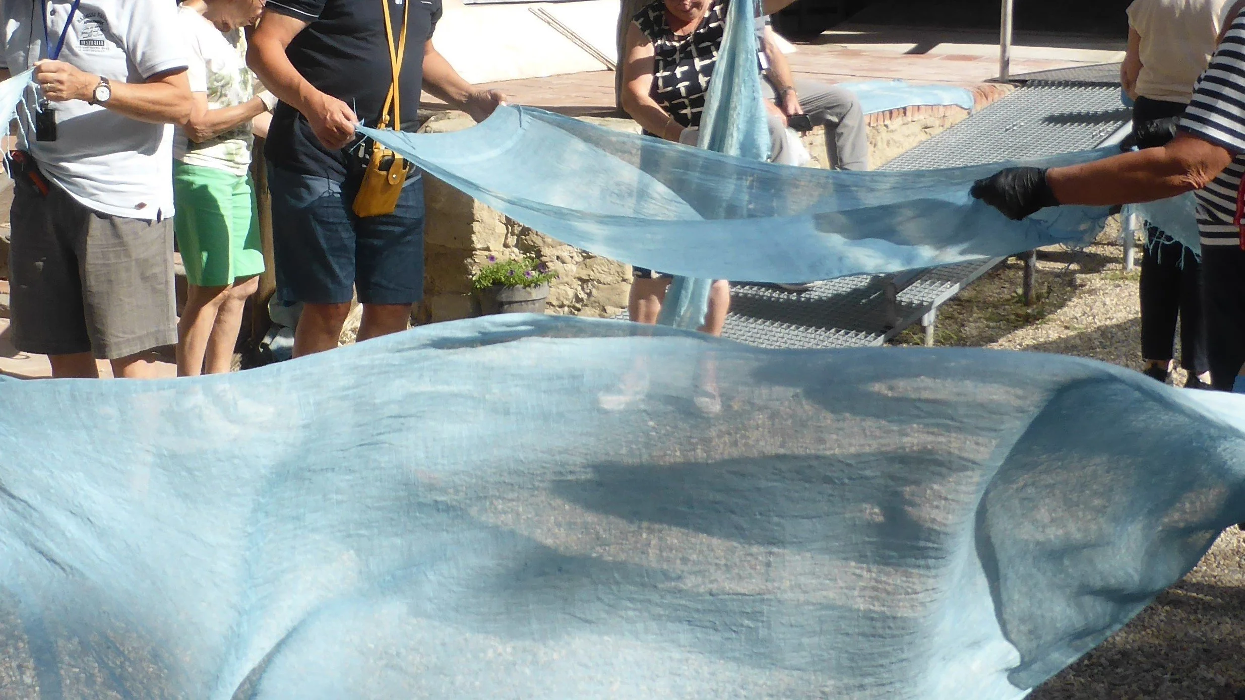 WEARING WOAD, NAPOLEON AND A CHARITY FOR SICK CHILDREN / Discover how 19th-century blockades by the British led to Napoleon's attempt to resurrect woad, or pastel.