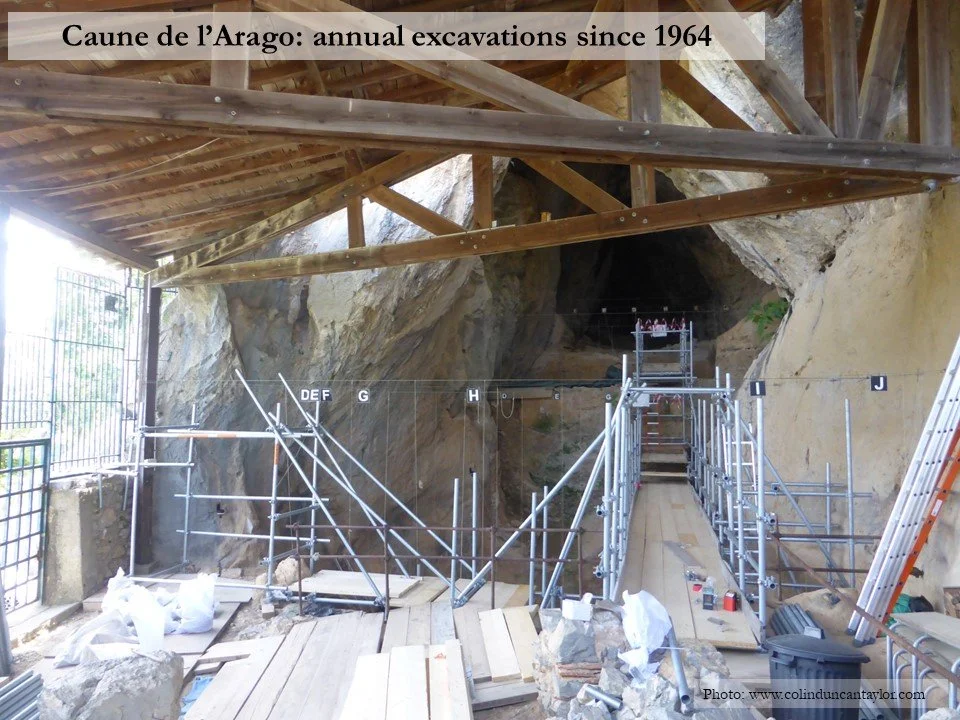 A look inside the Caune de l'Arago where archaeologists resume their excavations every summer.