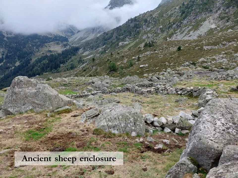 The remains of an ancient sheep enclosure at Liantran in the French Pyrenees.