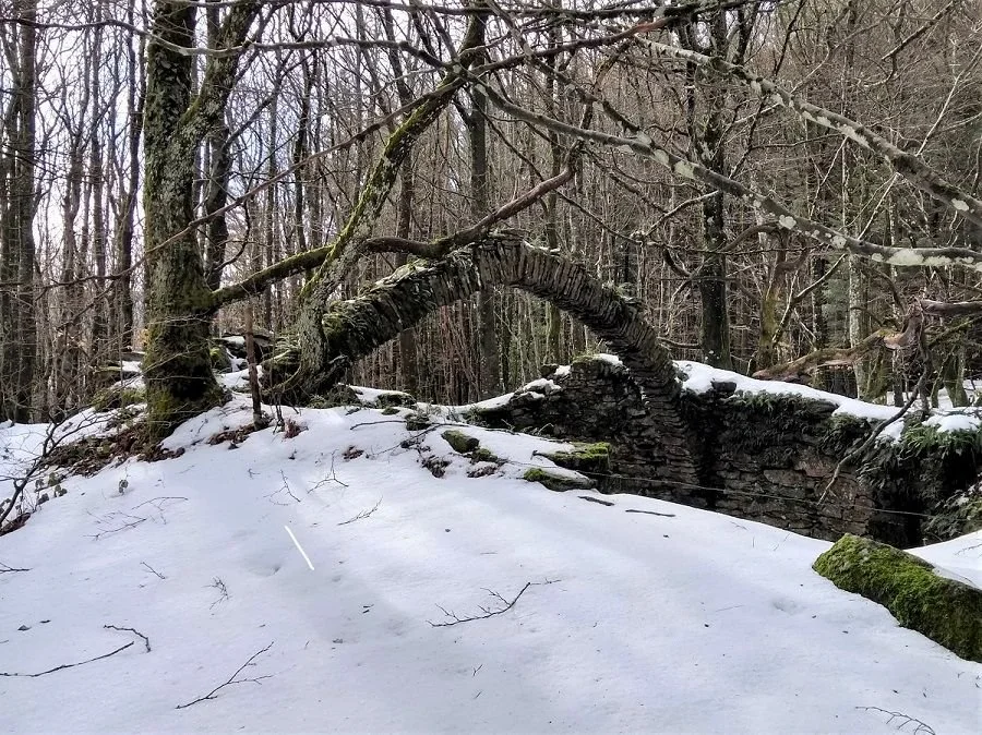 An elegant arch rises from the snow, the ruins of a 19th century ice house near Pradelles-Cabardes.