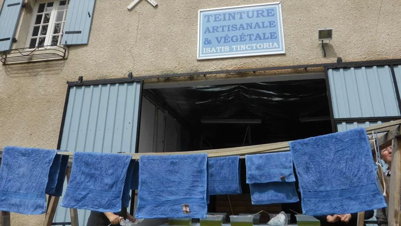 Pieces of fabric dyed blue with woad, or pastel, hang out to dry on a washing line.