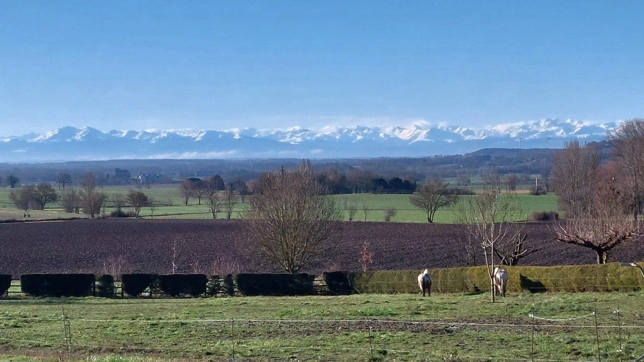 The Pyrenees cloaked in snow span the horizon above a rural scene of country fields and two horses.