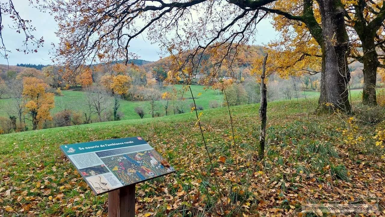 Autumn landscape in the Montagne Noire where the monk Dom Robert found inspiration for his tapestries.