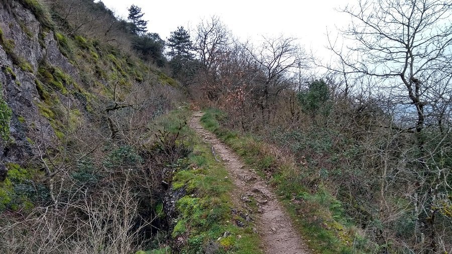Iron Age defensive earthworks on the Berniquaut above Soreze.
