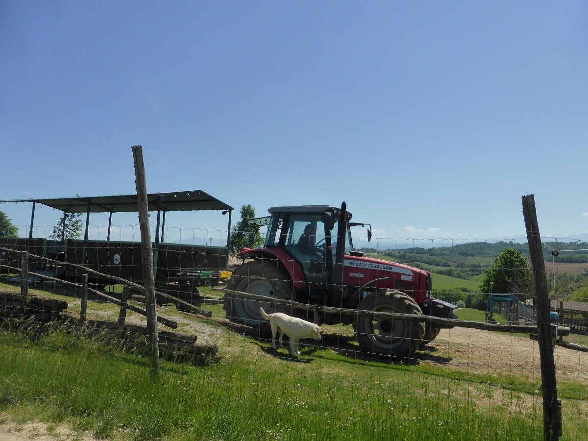 This tractor and trailer at La Ferme aux Bisons takes visitors on safari.