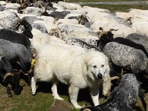 Curious tales & strange places