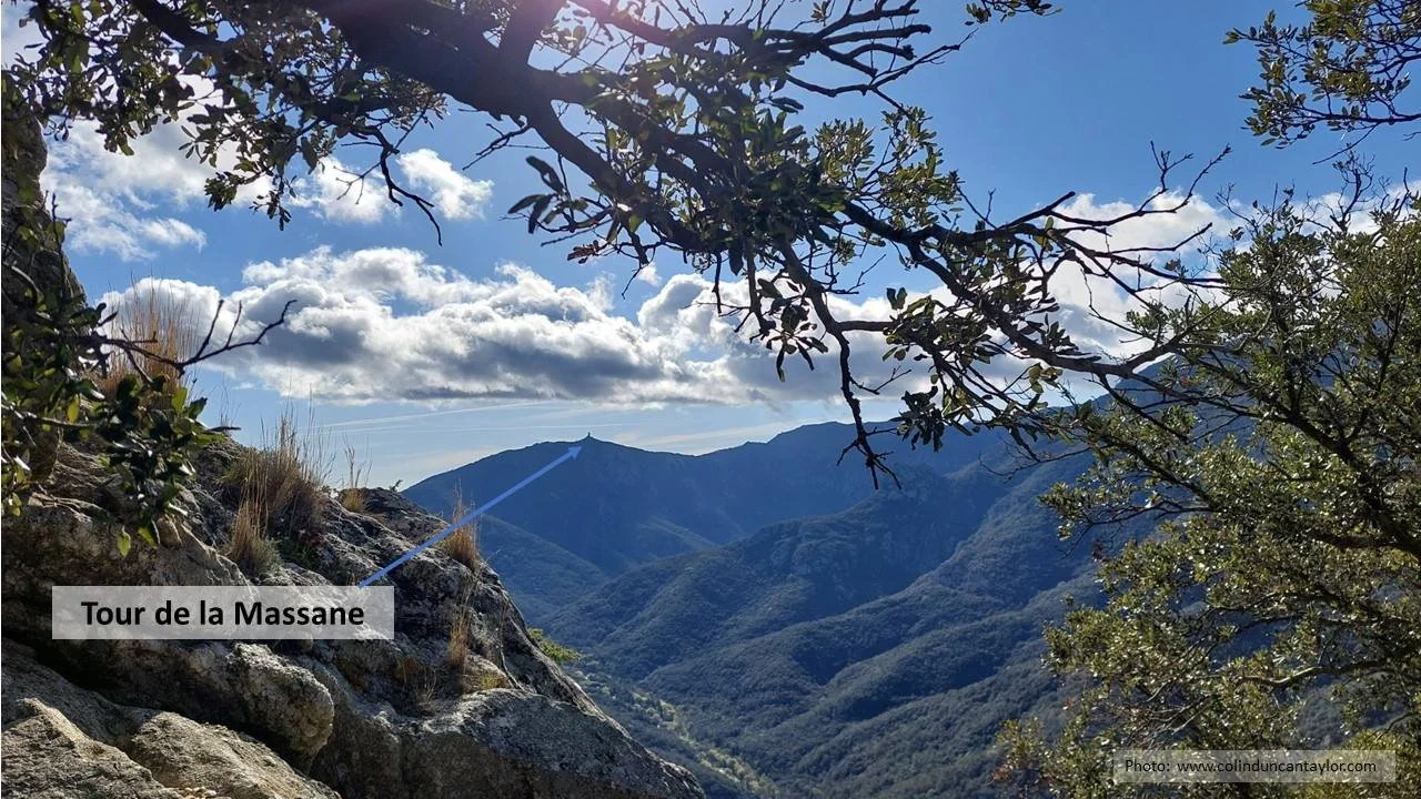Tour de la Massane viewed from the Château d’Ultréra.