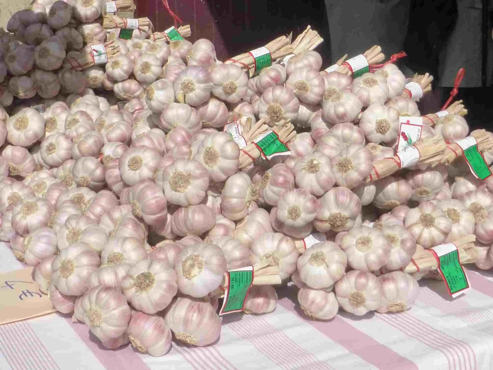 Bunches of the garlic known as l'ail rose de Lautrec.