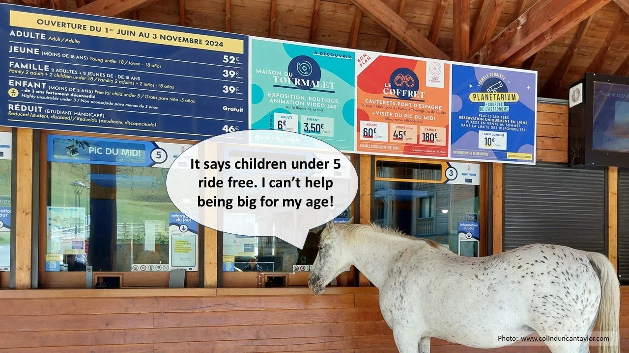A horse waits at the ticket office for the cable car leading up the Pic du Midi de Bigorre.