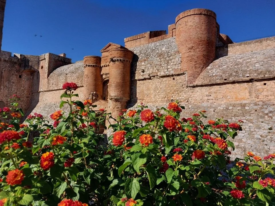 A pretty red flowering bush adds a touch of colour to the Forteresse de Salses.