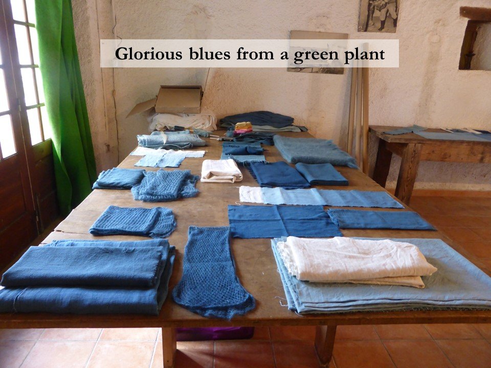 Various fabrics laid out on a table, all dyed using pastel, or woad.