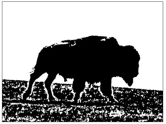 Silhouette of a bison, the dominant theme in Pyrenean cave art.
