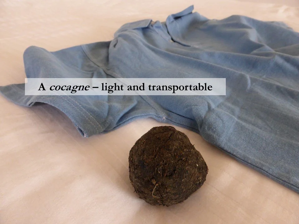 A woad-dyed shirt lies next to a cocagne, the ball of dried woad leaves that formed the basis of an international woad trade that made south-west France rich in the 15th and 16th centuries.