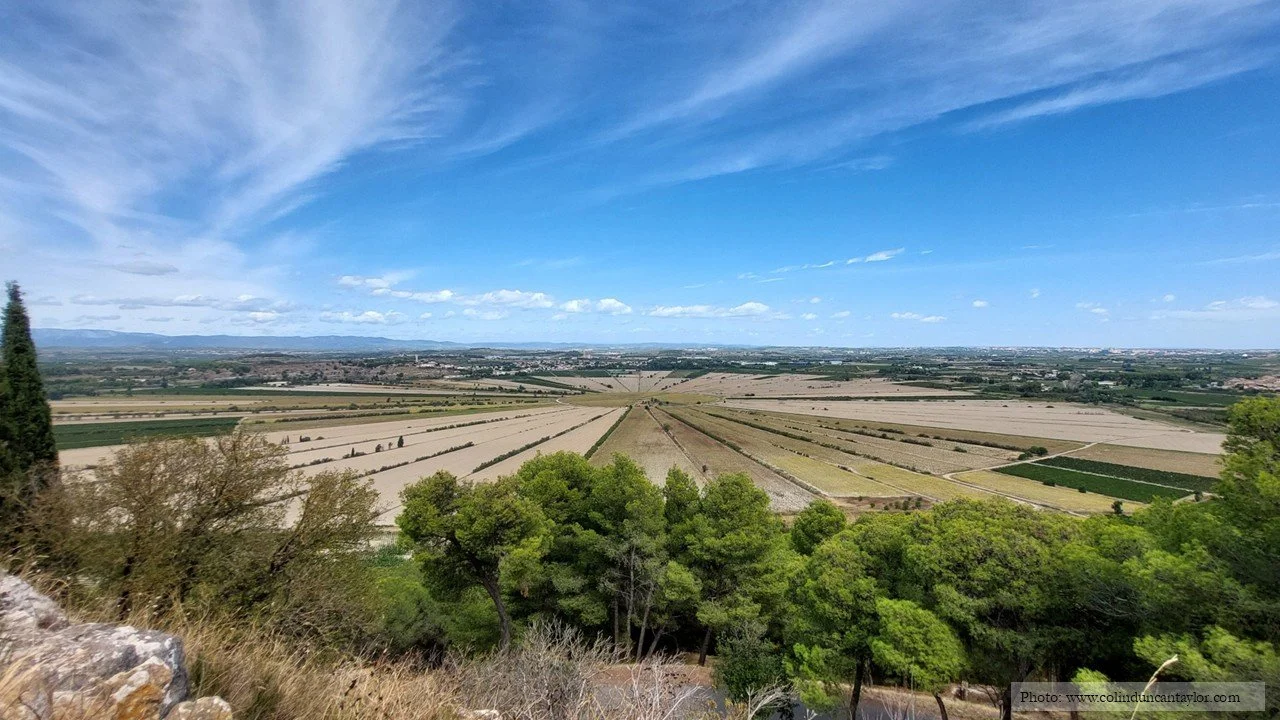 The fields of Montady comprise 400 hectares of arable land divided into 80 slices by 120 kilometres of drainage ditches.