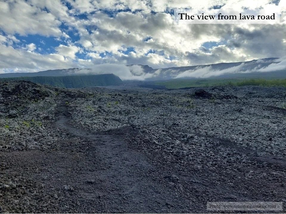 A barren lava field on the southern coast of La Réunion.