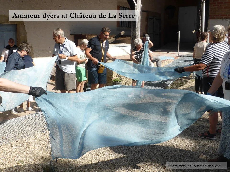 Visitors dry sheets of fabric they have just died blue with woad, or pastel.