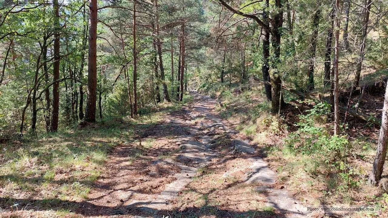 Spain has 125,000 km of livestock trails like this one, all legally protected.