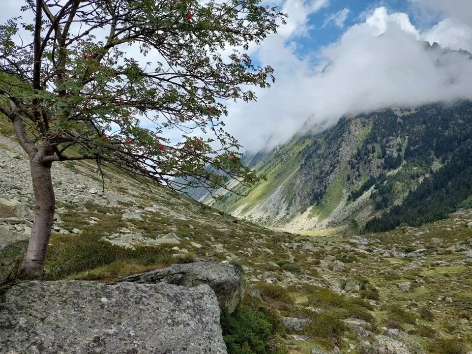 Wild Pyrenean landscape near the pastoral settlement of Liantran.