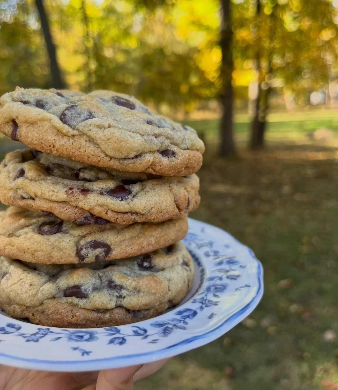 Half Dozen 4oz Hefty Chip Cookies