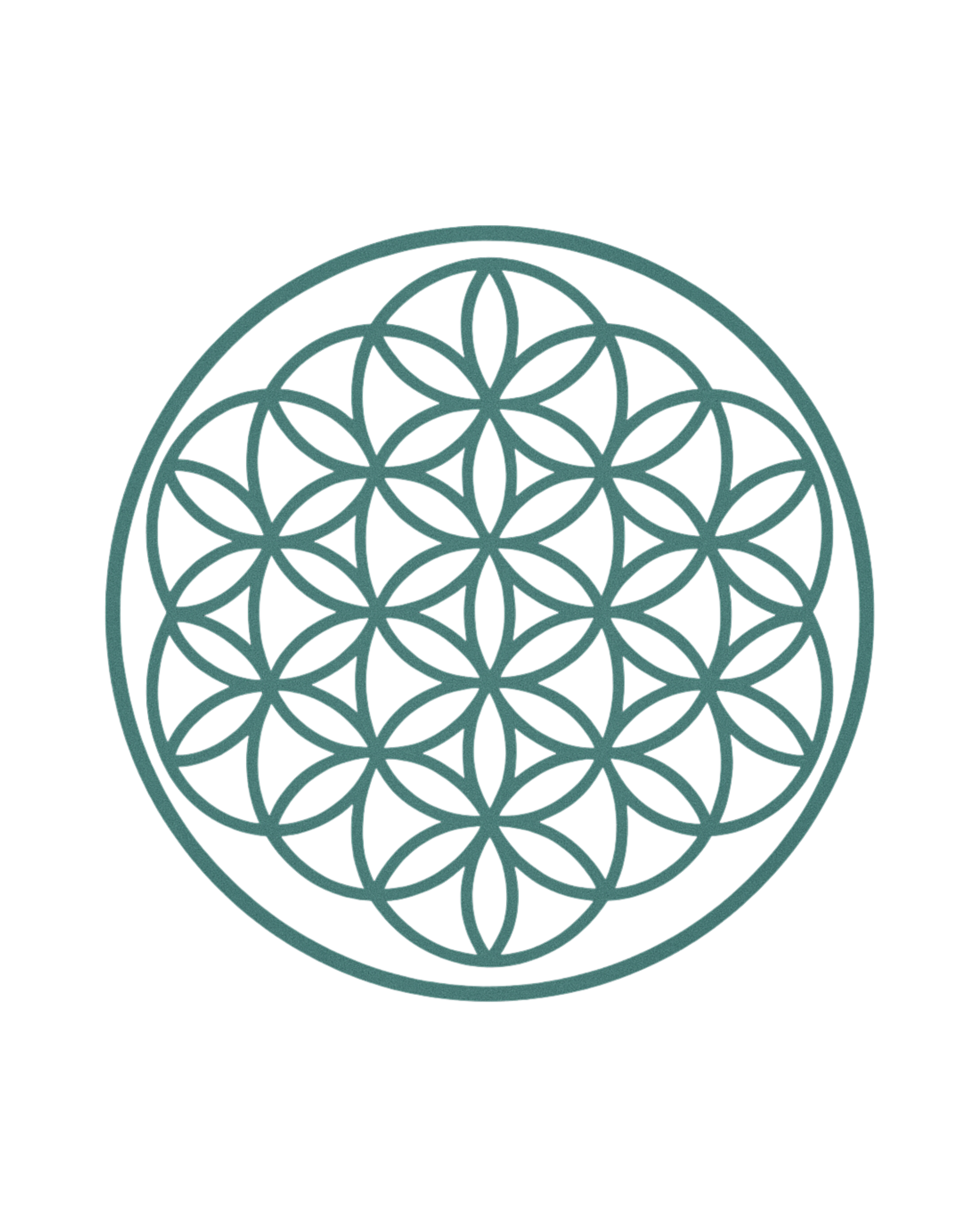 Geometric pattern of interconnected circles forming a flower-like design inside a larger circle.