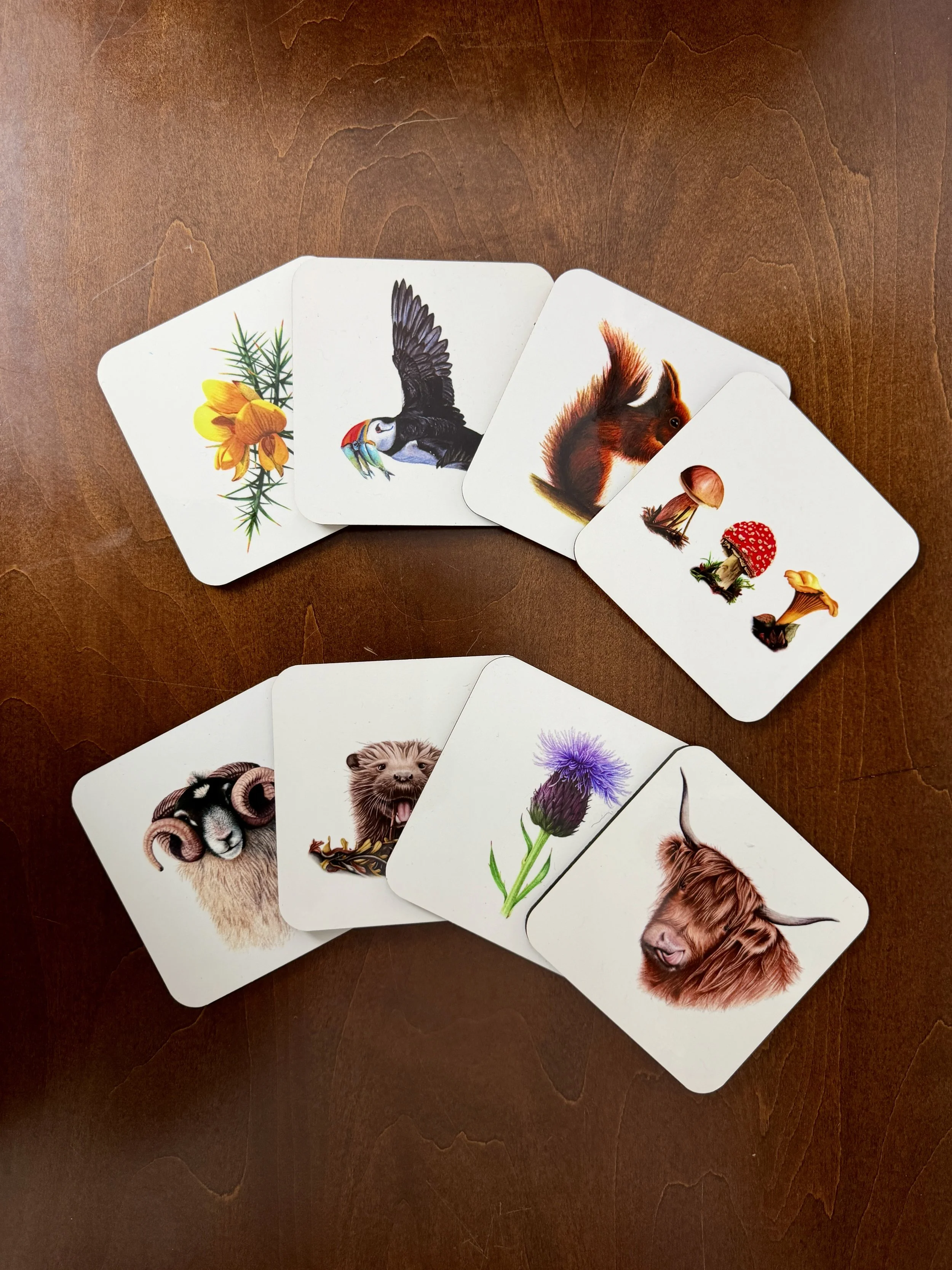 Coaster - 8 Scottish Designs