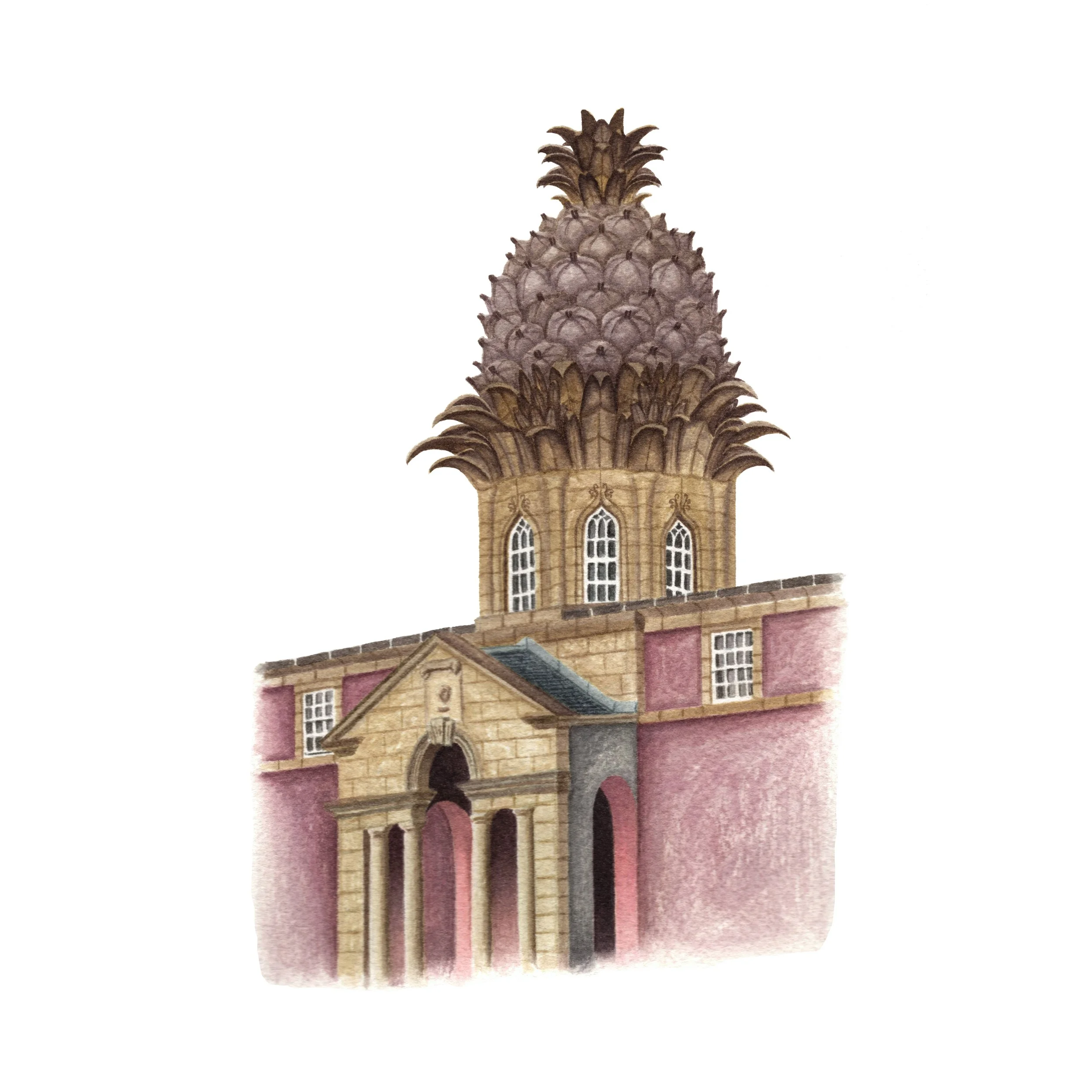 The Pineapple - Fine Art Print