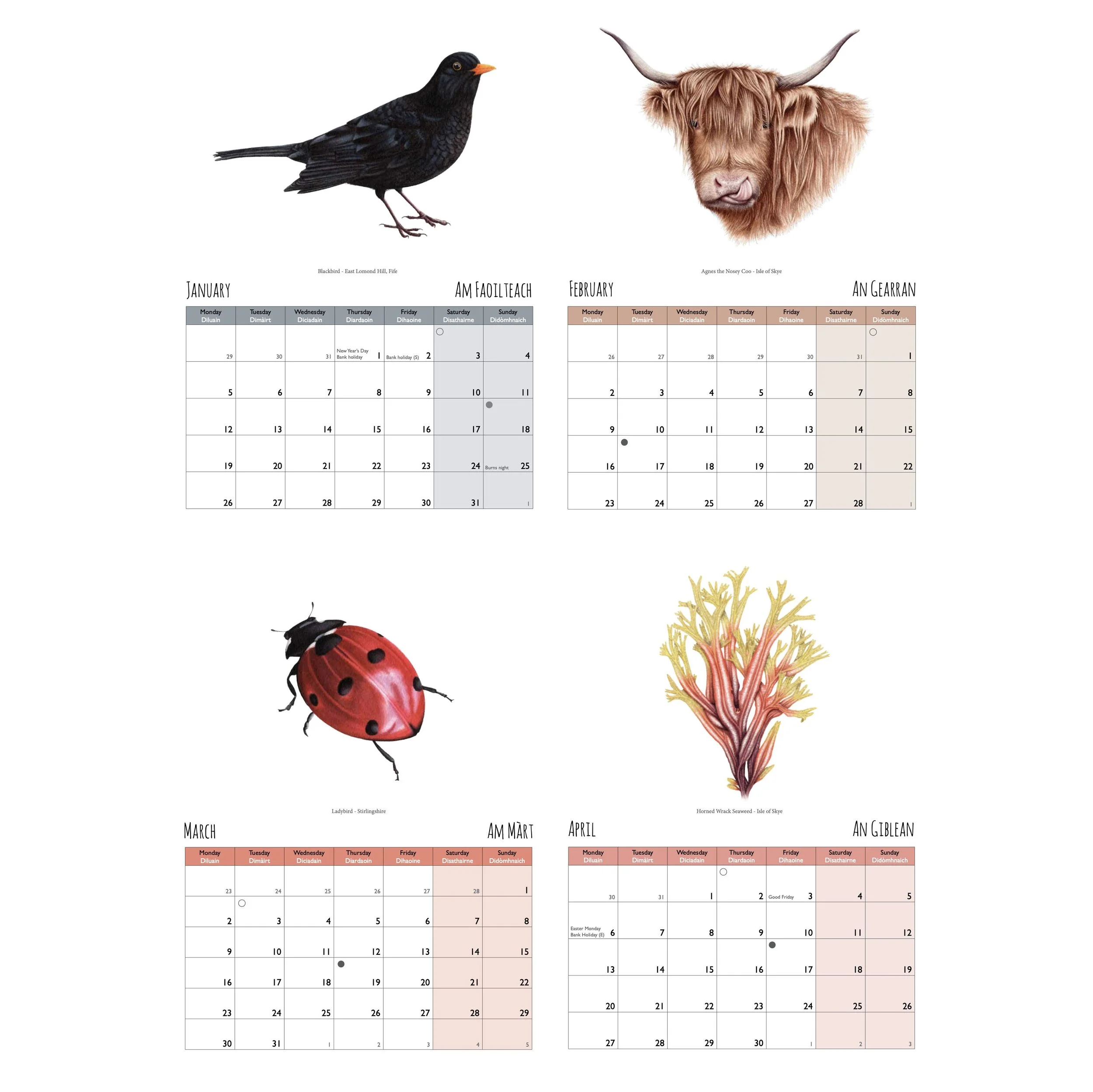 Calendar 1 copy.jpg