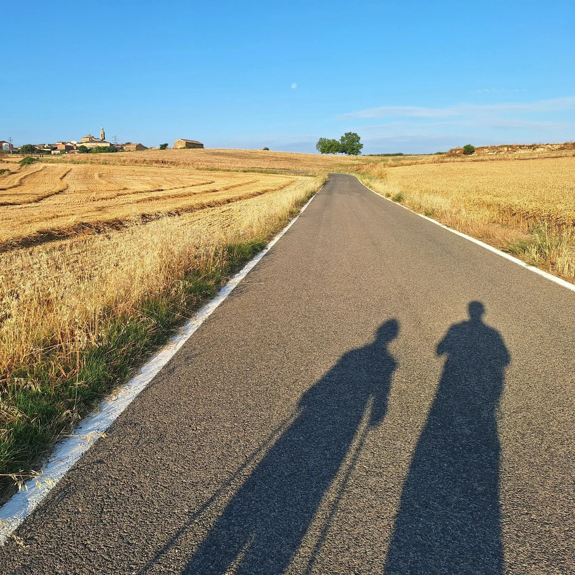 Camino Francés: A Table in Orisson