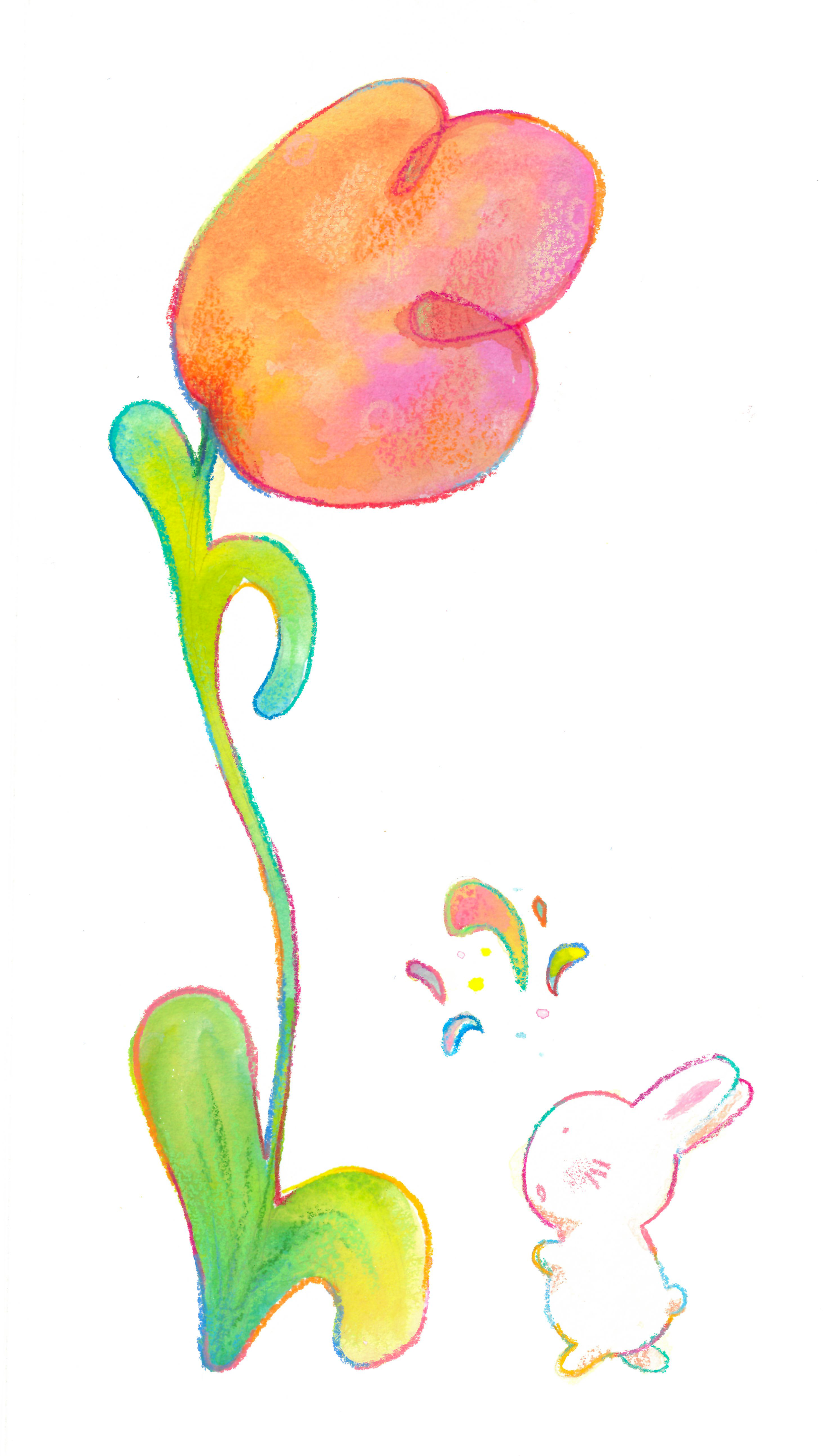 "Flower Spot," Gouache and Colored Pencil