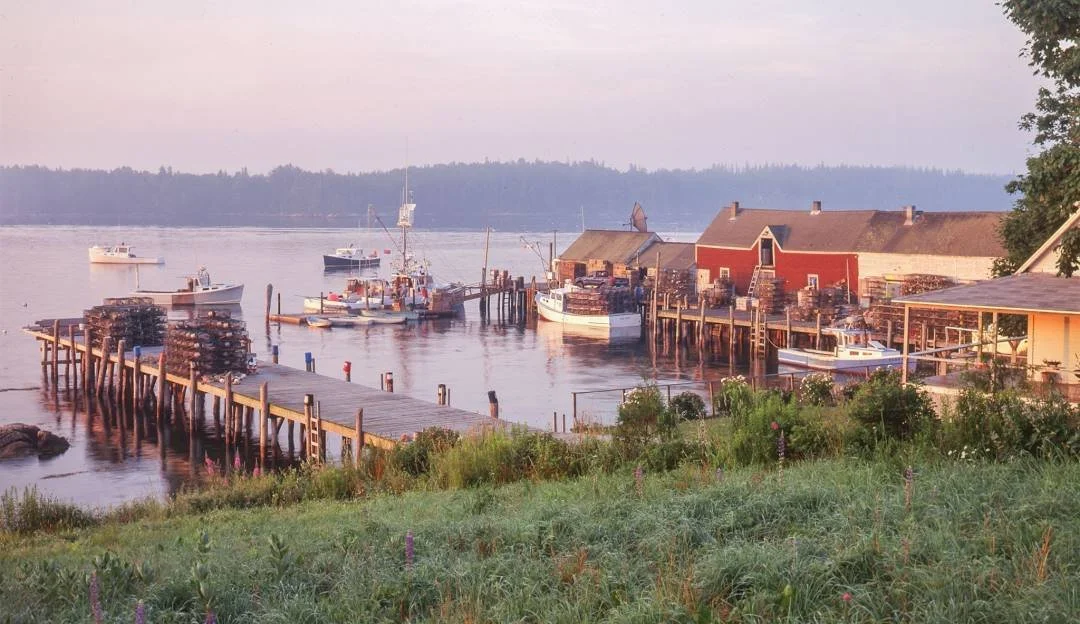 Dock with boats tied up at a river or harbor, surrounded by buildings and lush greenery, during sunset.