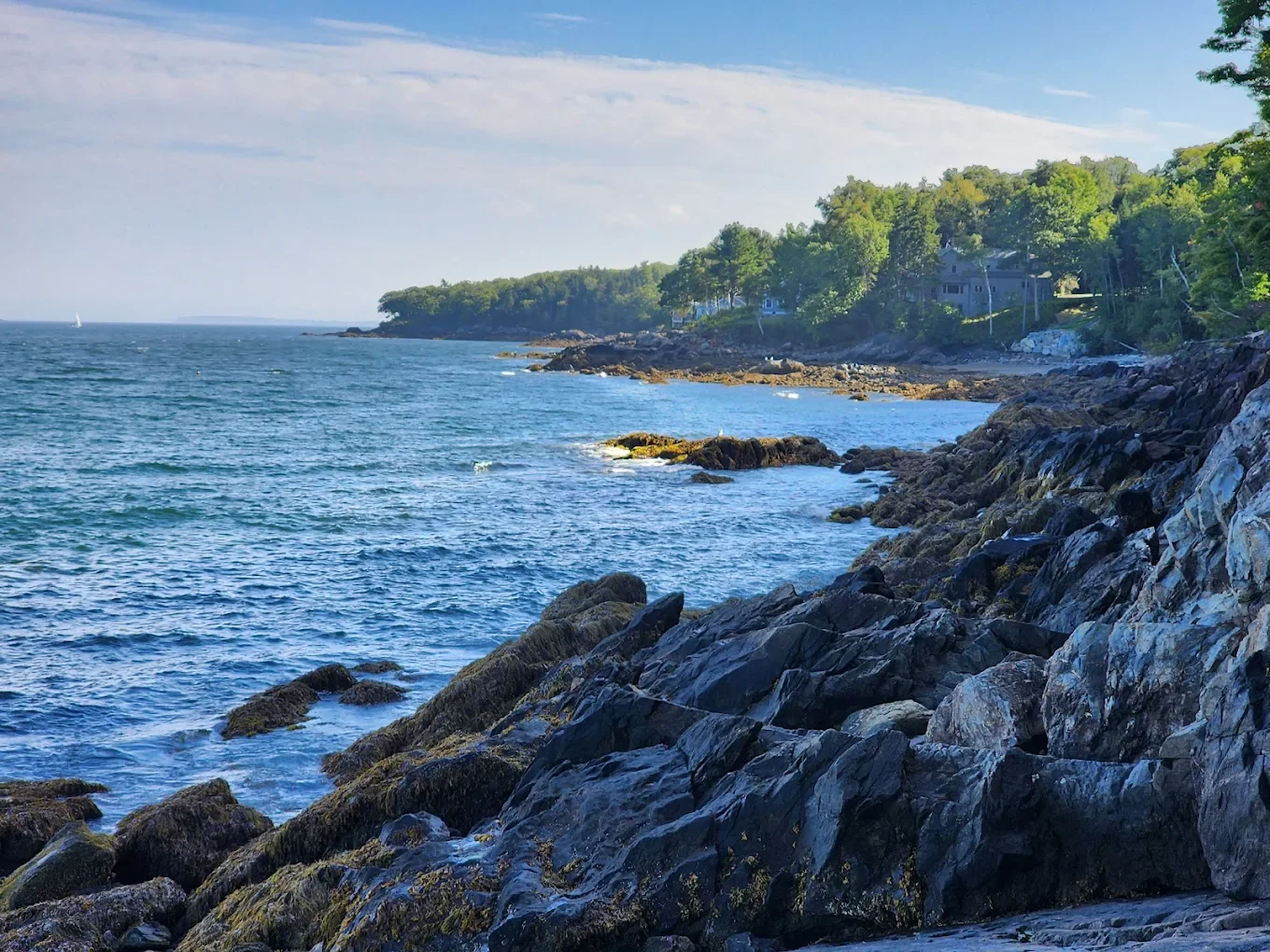 Rocky coastline with trees and houses on a hillside, calm blue ocean waters, and a partly cloudy sky.