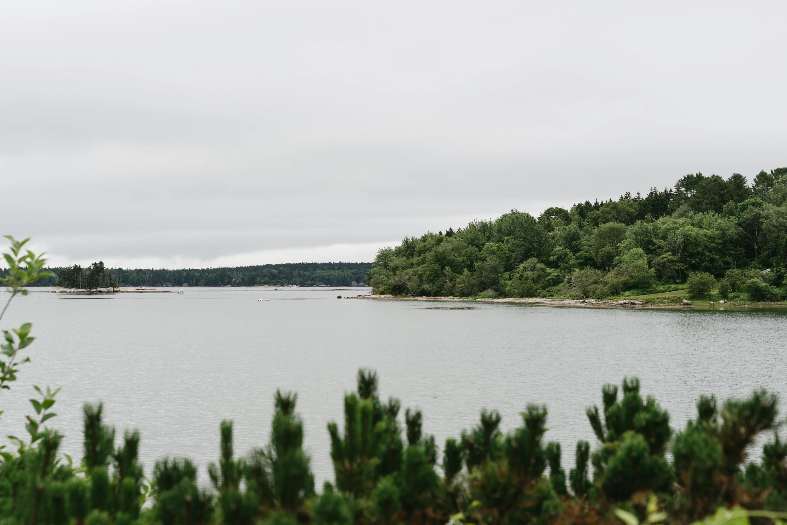 Overcast view of a river with green trees along the shoreline and a small island with trees in the distance.