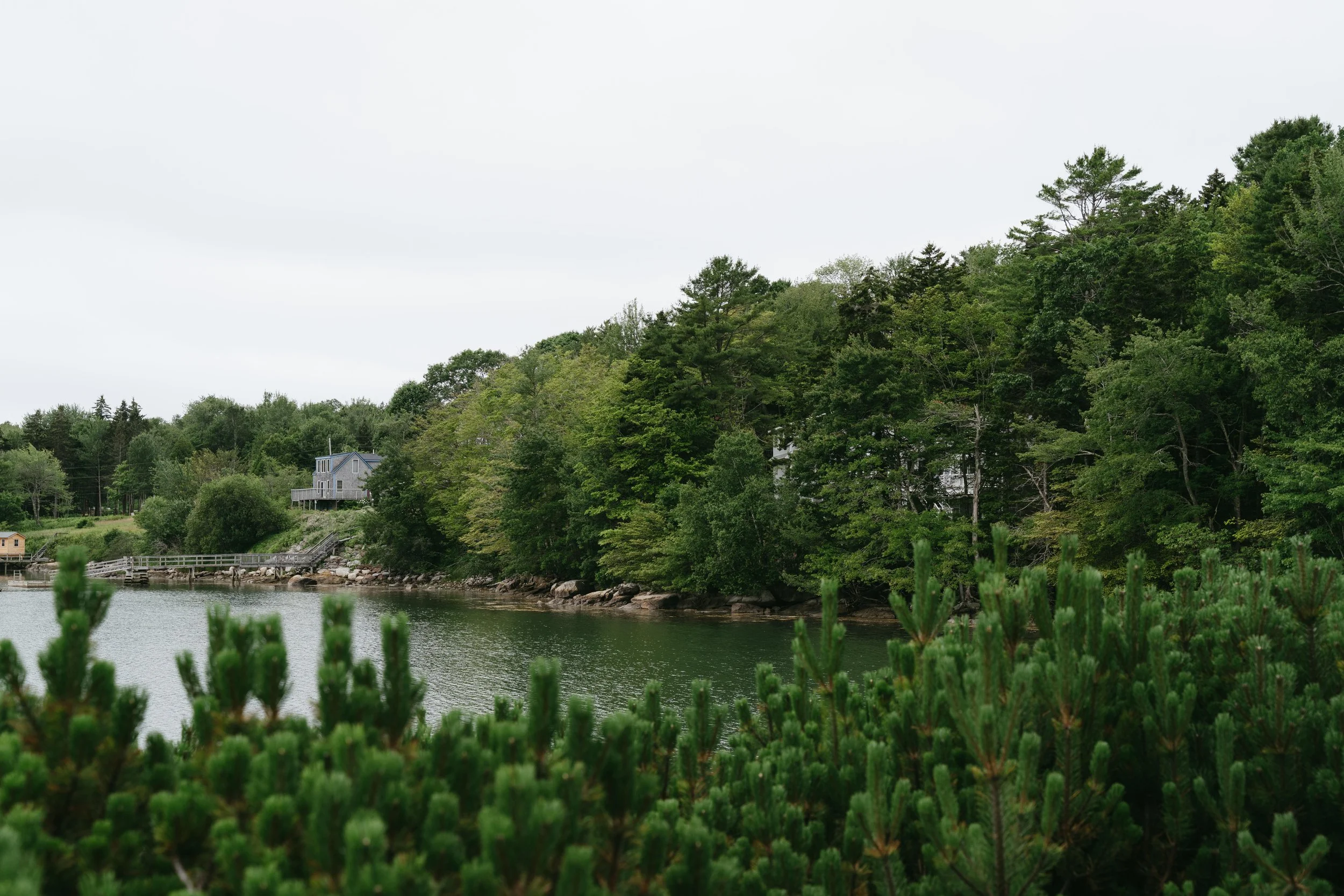A scenic view of a lake with lush green trees along the shoreline and houses in the background, under an overcast sky.