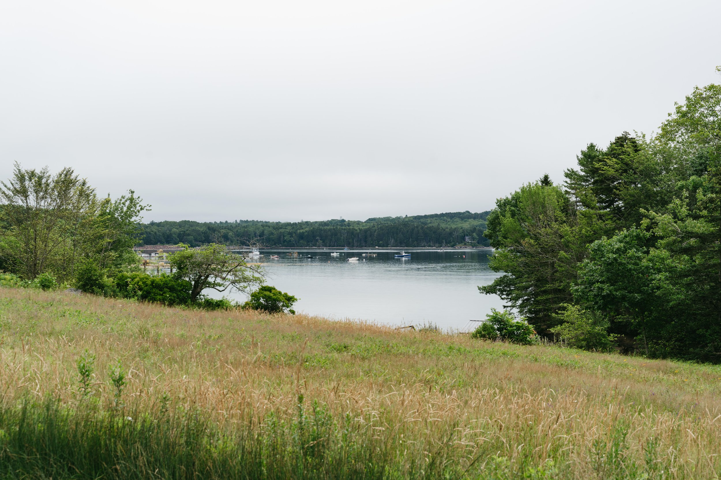 A peaceful waterbody surrounded by lush green trees with a grass field in the foreground, boats on the water, and overcast sky.