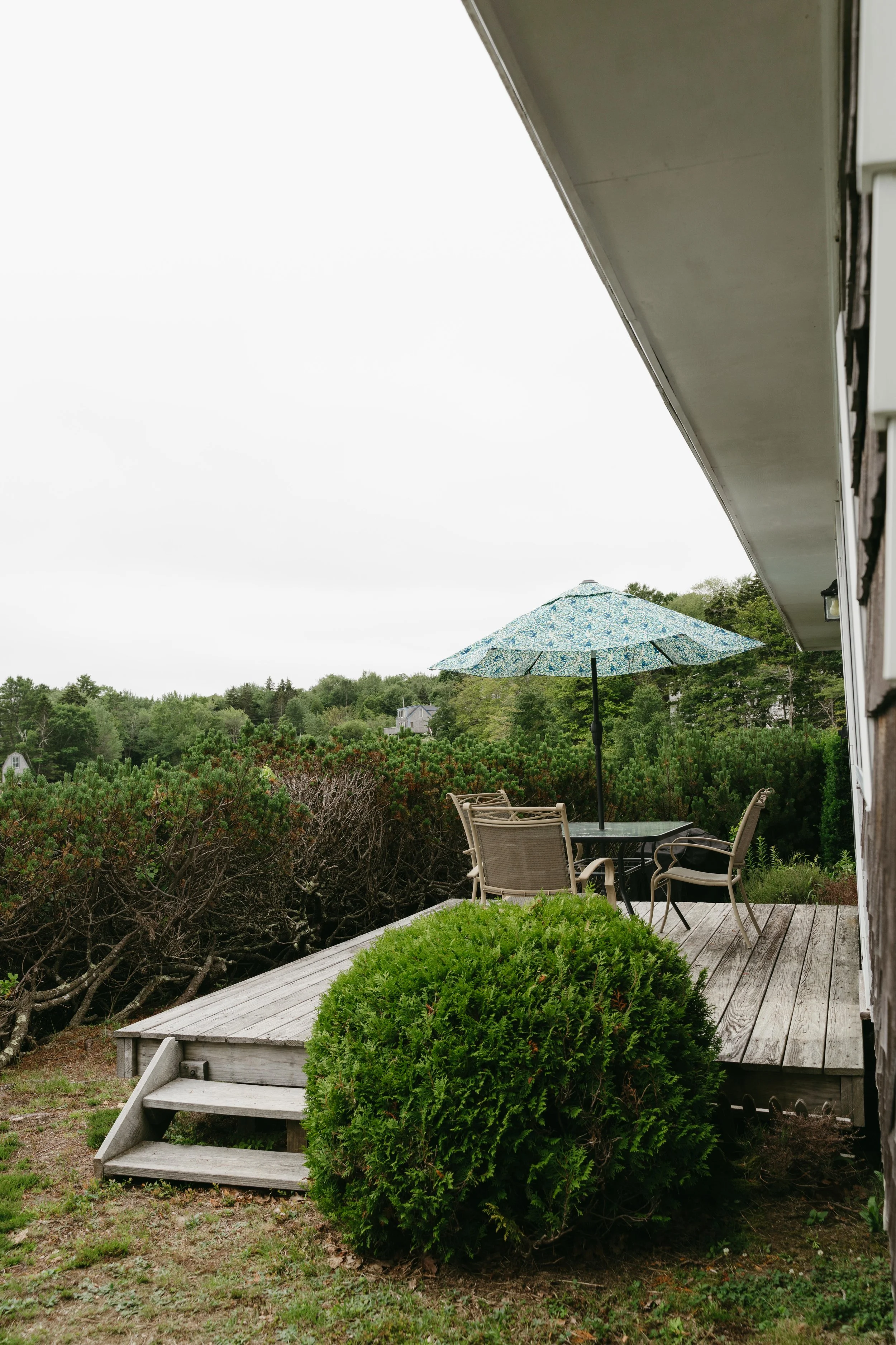 A wooden porch with outdoor table, chairs, umbrella, and green shrubbery, overlooking a landscape of trees under an overcast sky.