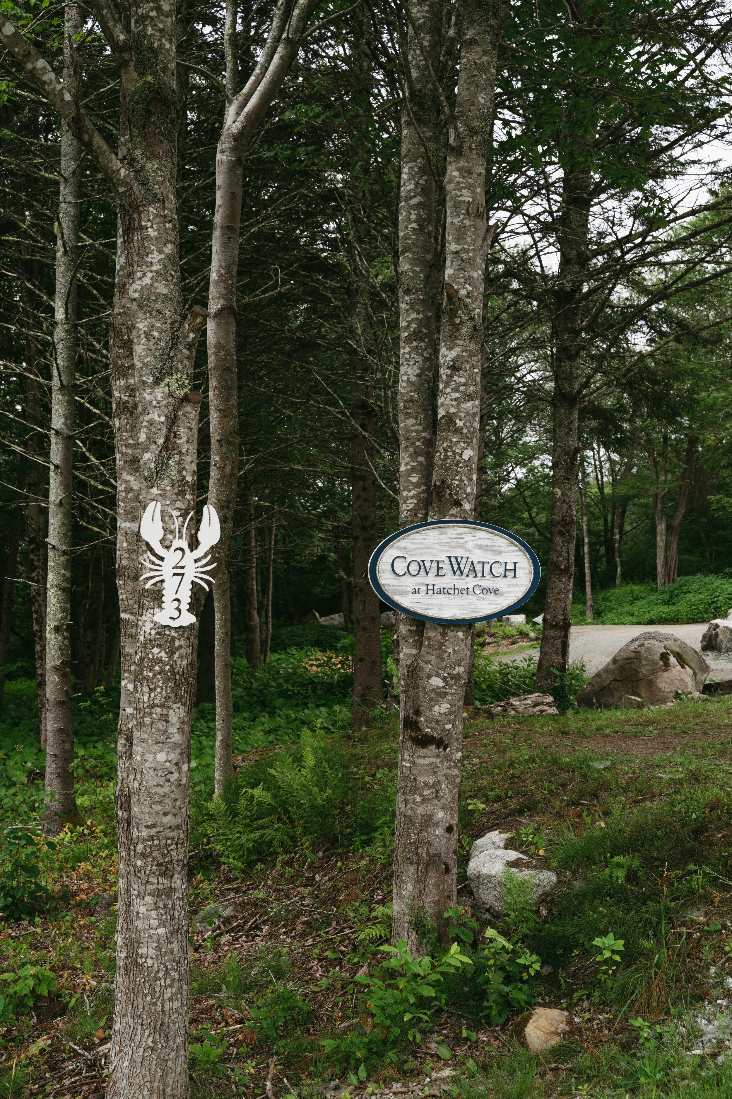 Sign for Cove Watch at Hatchet Cove next to trees and a dirt path with rocks and greenery.