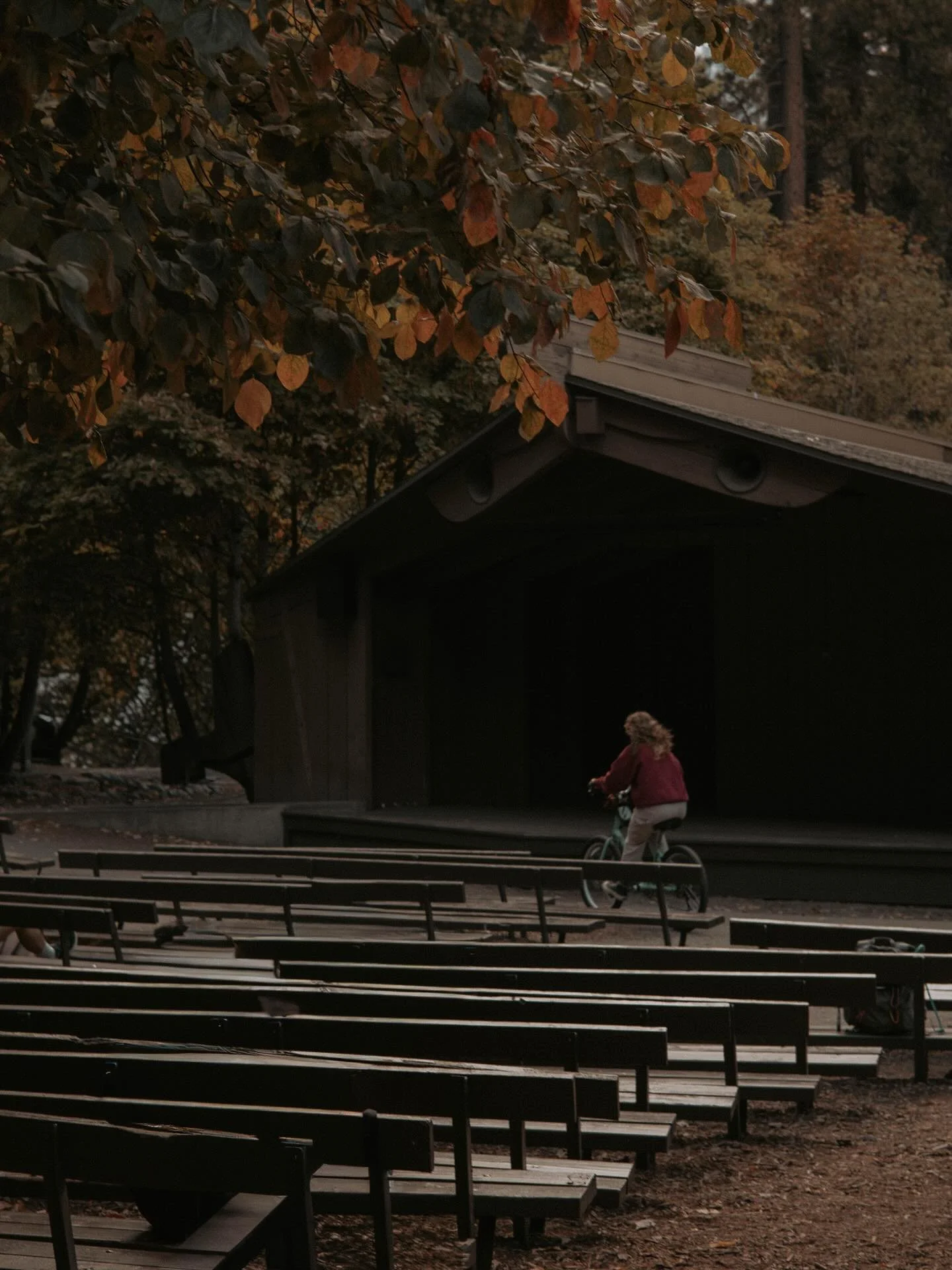 Curry Village, Yosemite 📍🏞️