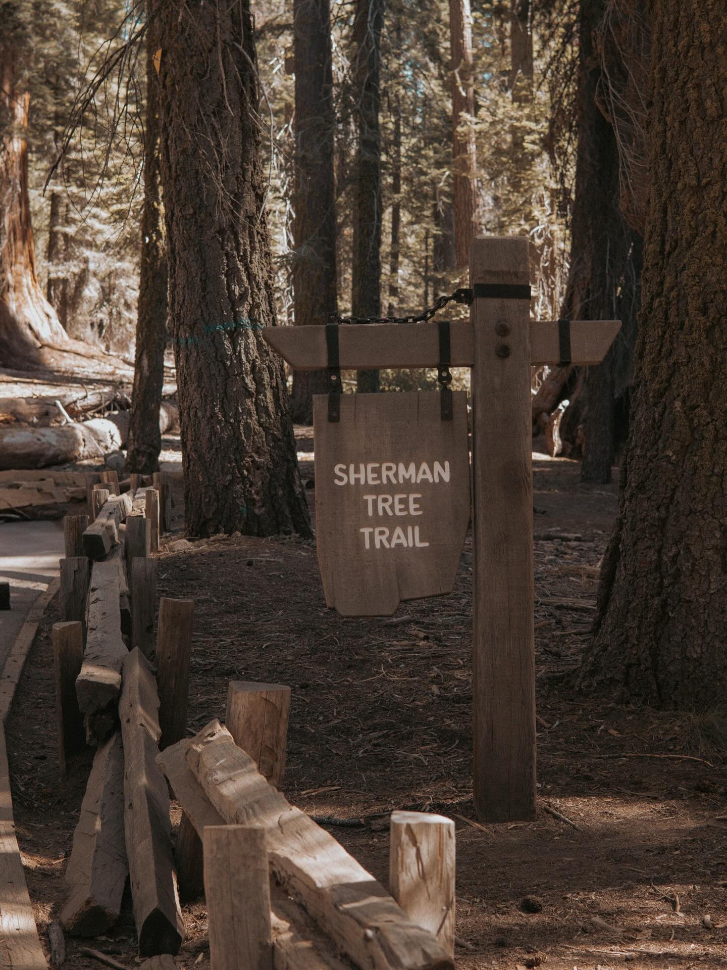 In awe of General Sherman 🌲✨ Nature&rsquo;s giants never fail to humble us 
.
.
.
.
#GeneralSherman #SequoiaNationalPark #Sequoia #NatureVibes #NatureLovers #NaturePhotography #ExploreMore #OptOutside #AdventureAwaits #WildernessCulture #HikingAdven