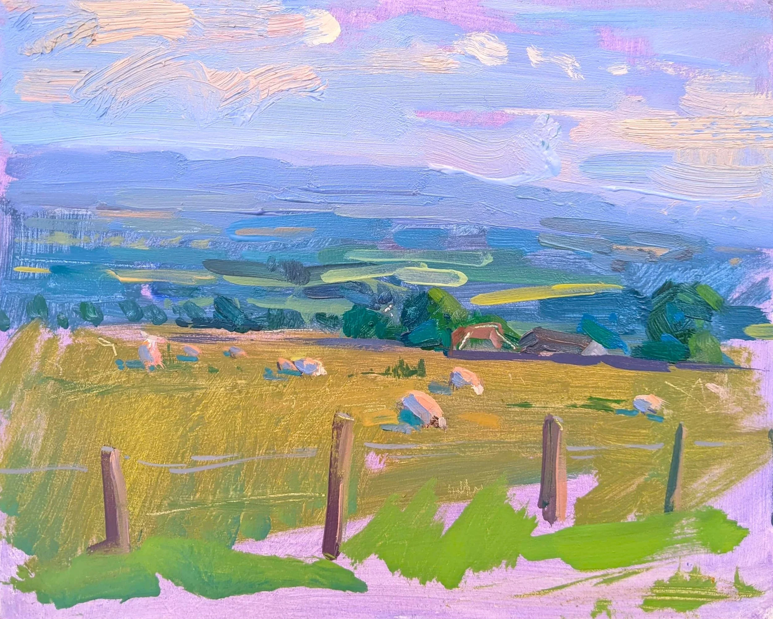 Ewes grazing in September, Abercairny,

oil on canvas,

26cm x 30cm