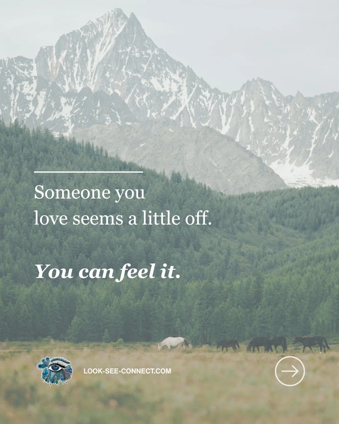 When someone we love seems off, it's natural to want to know what's wrong.

We ask questions because we care.

But sometimes curiosity looks less like asking, and more like leaving a little room.

Room for them to be where they are.
Room for us not t