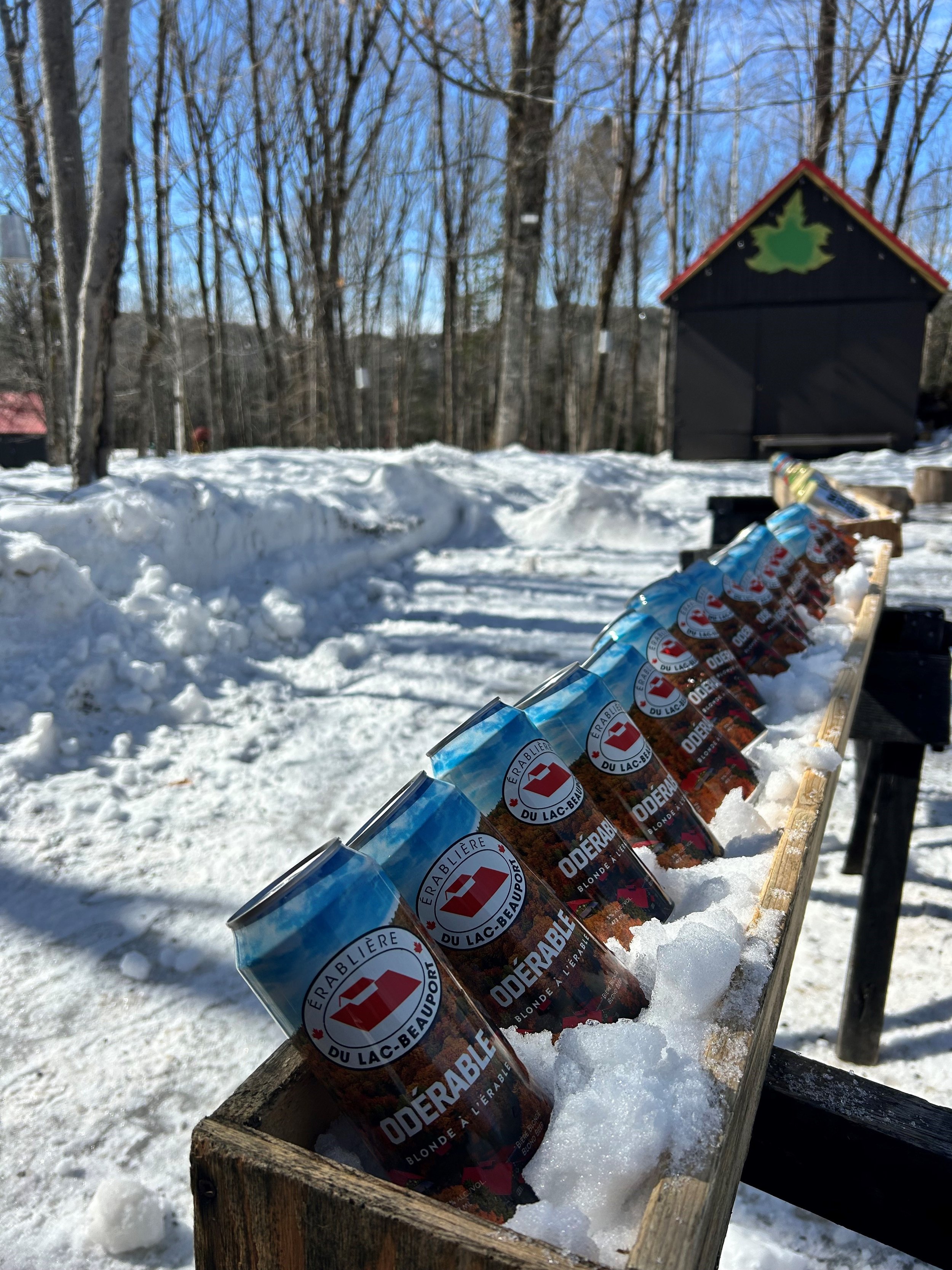 bière à l'érable