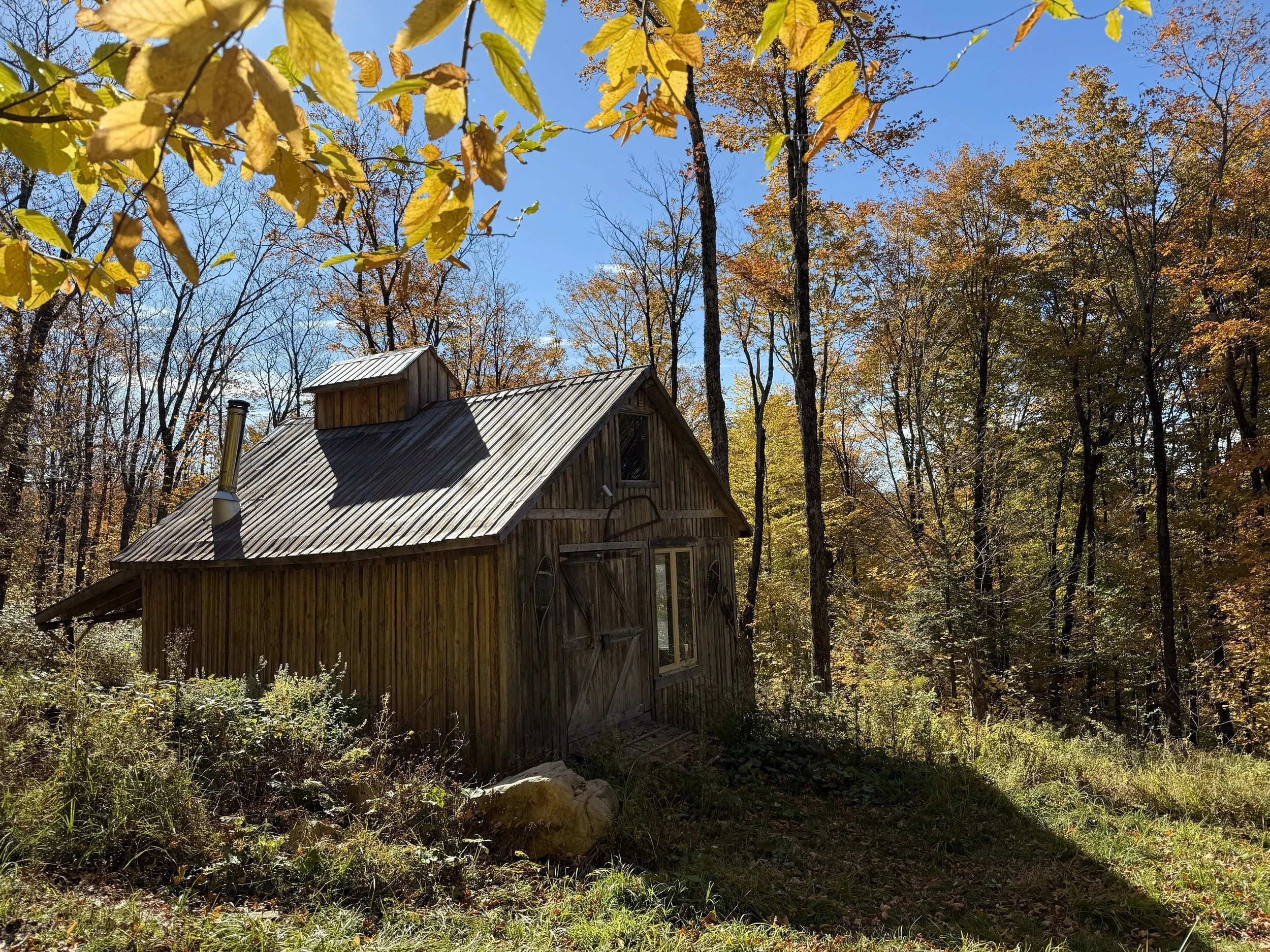 Cabane à sucre au printemps
