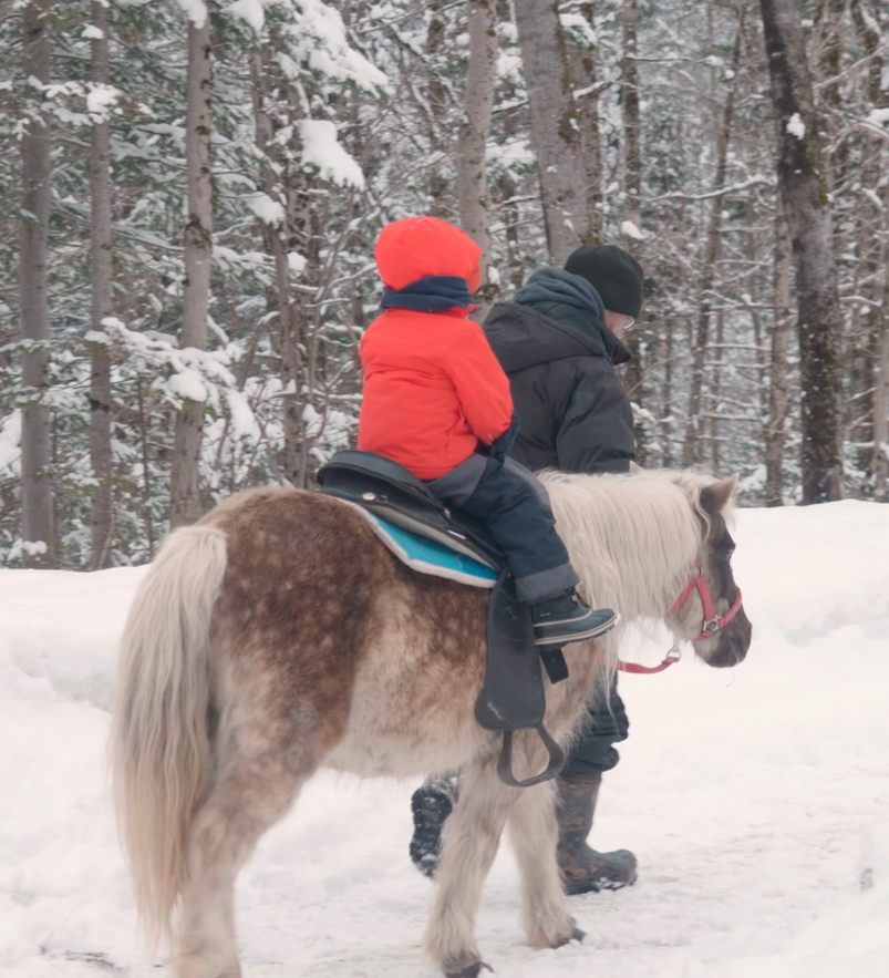 tour de poney enfant